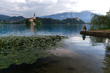 Rothaarige Frau sitzt am Ufer des Bleder See mit Seerosen und blickt auf die Marienkirche auf der...
