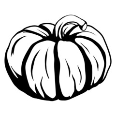 pumpkin on a white background.Pumpkin Vector Graphics Black White Hallowen