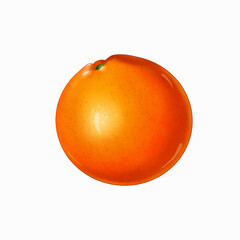 Whole juicy orange without leaves and shadow isolated on white background. Hand drawn digital art. Botanical illustration create by procreate.