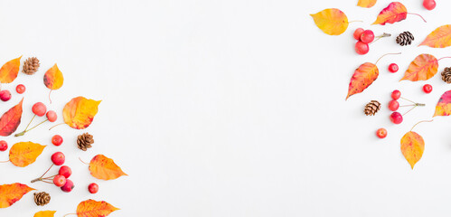 Flat lay frame with colorful autumn leaves on a white background