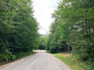 Camino entre el bosque sobre las montañas