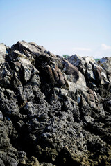 Bright spring view of the Island. Pictures morning scene on th. Beauty of nature concept background.