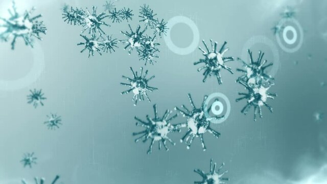 Healthcare protection shield. Medical immune system concept. Bacteria and virus defense. Protect. Antibacterial. Resistance antimicrobial. Loop animation.