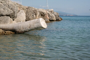 Fototapeta premium Log under the port