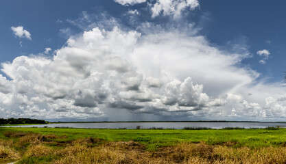 Large white summer storm clouds over Upper Myakka Lake in Myakka River State Park in Sarasota Florida USA