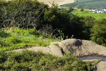 Killynether Forest Walk & Views - Northern Ireland