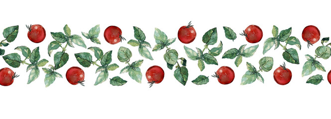Seamless border of cherry tomatoes and green basil twigs and leaves, isolated on white. Watercolour illustration.  For duct tape, cookbook, recipe, menu and packaging design.