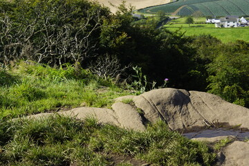 Killynether Forest Walk & Views - Northern Ireland