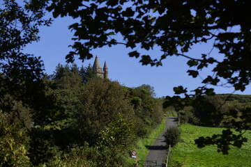 Killynether Forest Walk & Views - Northern Ireland