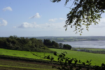 Killynether Forest Walk & Views - Northern Ireland