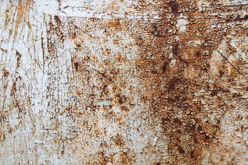 backdrop of old rusty metal texture