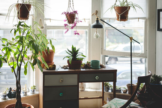 Desk in bright study with plants and large windows