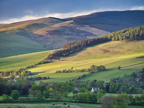Evening Sunlight on the Meldon Hills, Tweeddale, Scotland