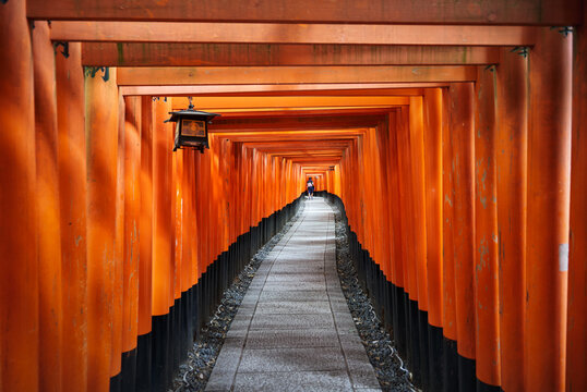 Japan, Honshu, Kyoto, Fushimi Inari-taisha, Torii japanese gates