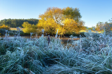 Fall scenery. Frost morning. Sunrise. First hoarfrost. Grass in hoarfrost near bank of the river.