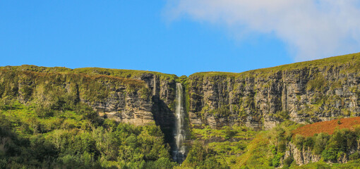 landscape with trees and sky