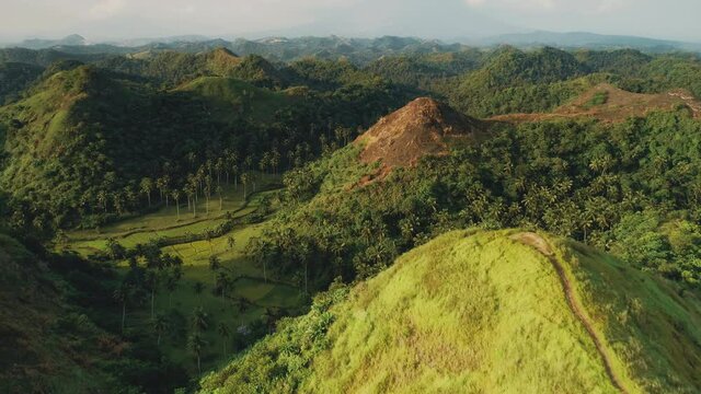 Sun burned grass hills top aerial: mount with burnt grassy peak at yellow ochra colours. Epic nature reserve concept of tropic summer wildfire at Mayon volcano, Legazpi city, Albay, Philippines