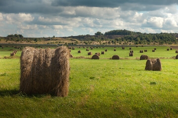 rural landscape with haystacks landscape
