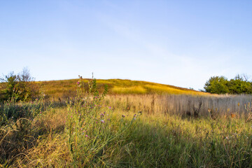 Beautiful landscape with the hills and  grass field, tree against background with blue sky and sun ray in the Nikontsy village Sumy region, Ukraine.