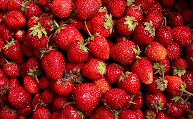 Background from organic strawberry. Close up, top view. Harvest concept.