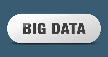big data button. sticker. banner. rounded glass sign