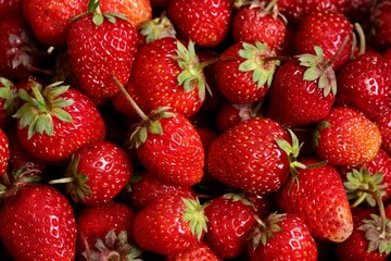 Background from organic strawberry. Close up, top view. Harvest concept.