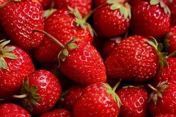 Background from organic strawberry. Close up, top view. Harvest concept.