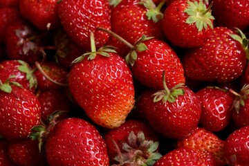 Background from organic strawberry. Close up, top view. Harvest concept.