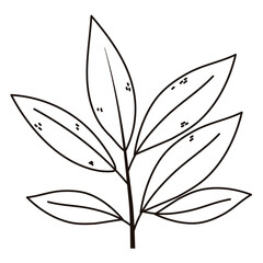 branch leaves foliage natural isolated icon line style