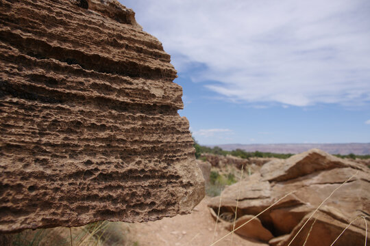 The edge of an eroded sandstone embankment with the blurred desert in the background
