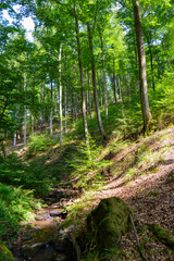 Rückersbacher Schlucht in Johannesberg/Aschaffenburg	