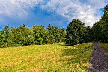 Naturschutzgebiet Bulau in Hanau-Hessen	