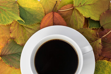 against the background of autumn colored leaves is part of a white Cup with black coffee. Top view of the autumn composition with a warming drink