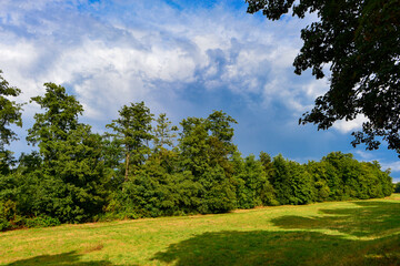 Naturschutzgebiet Bulau in Hanau-Hessen	