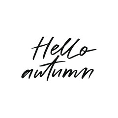 Fototapeta na wymiar Hello autumn, modern calligraphy quote. Vector hand written phrase