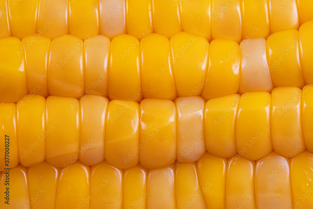 Wall mural macro view of fresh raw corn.