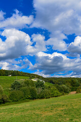 Weinbau am Schloßberg in Wasserlos-Alzenau