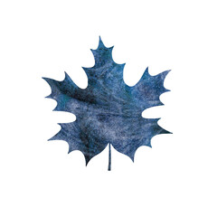 Watercolor autumn maple leaf. Bright texture for printing. Poster.