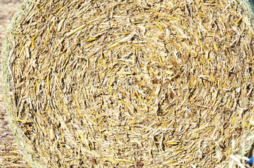 Round Straw Bale