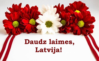 Red and white chrysanthemum flowers and ribbons in colors of Latvian flag on white background with congratulatory message 