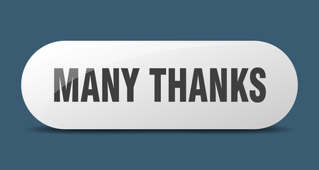 many thanks button. sticker. banner. rounded glass sign