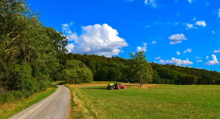 Der Hahnenkamm bei Alzenau-Wasserlos 