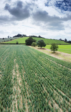 Landscape Image Of Tysoe Windmill In Warwickshire England