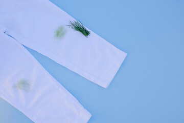 dirty grass stain on white pants.Isolated on blue background.daily life dirty stain for wash and...