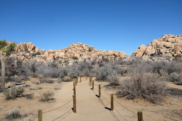 Trail to Barker Dam