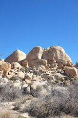 Joshua Tree Boulders
