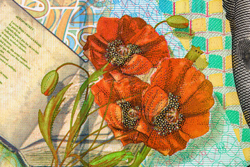 Selective focus on detail of lei banknotes. Close up macro detail of romanian lei banknotes, 200 lei isolated. World money concept, inflation and economy concept