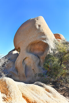 Skull Rock Joshua Tree