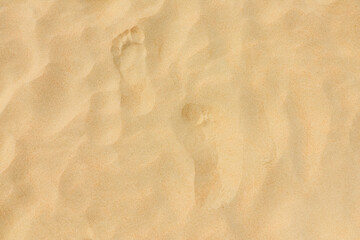 footprints on the beach dune sand as a background