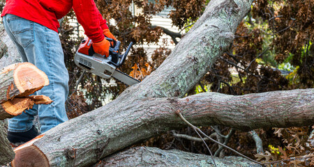 Man cutting up a downed tree with a chainsaw